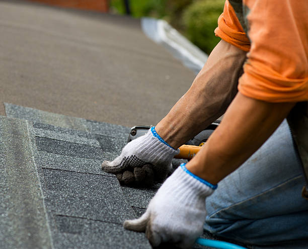 Best Roof Repair Services  in Aspermont, TX
